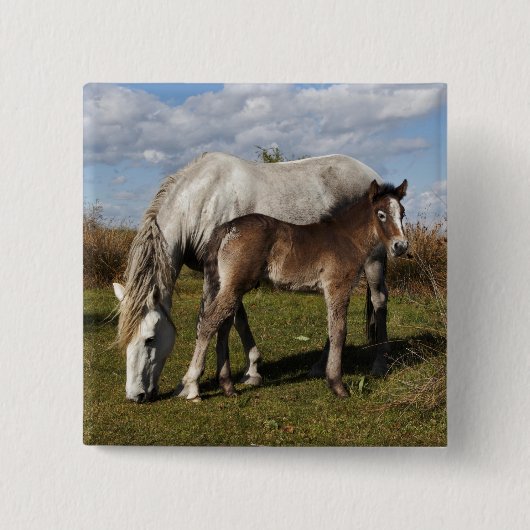 カマルグの子馬と母馬 缶バッジ (正面)