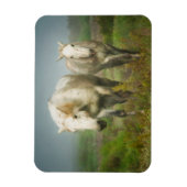 カマルグの白馬 マグネット (縦)