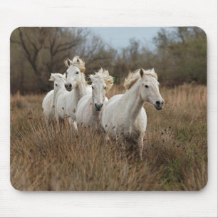 カマルグの馬が走る マウスパッド