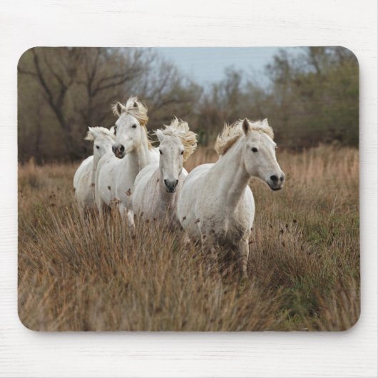 カマルグの馬が走る マウスパッド (正面)