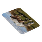 カマルグの馬の群れ マグネット (右側)