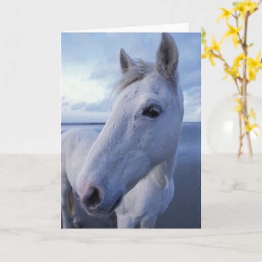 カマルグの馬 カード (黄色い花)