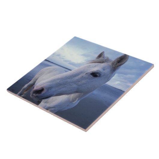 カマルグの馬 タイル (側面)