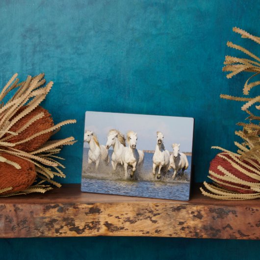 カマルグの馬 フォトプラーク (側面)