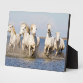 カマルグの馬 フォトプラーク (側面)