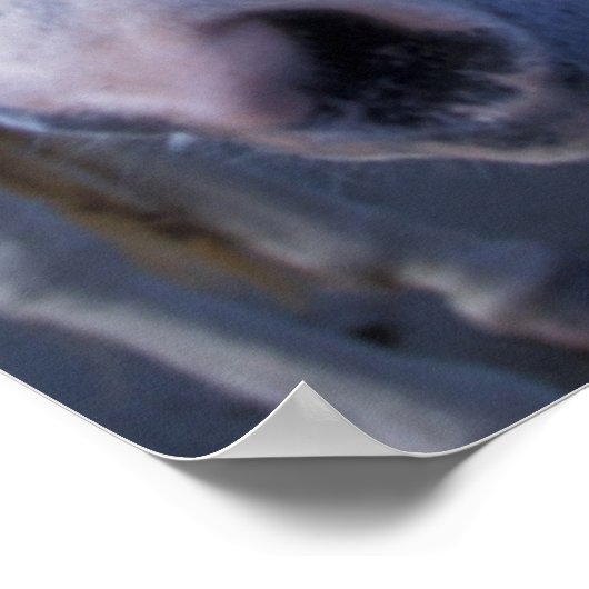 カマルグの馬 ポスター (角)