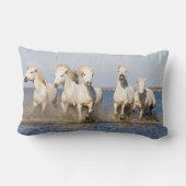 カマルグの馬 ランバークッション (裏面)