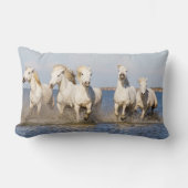 カマルグの馬 ランバークッション (正面)