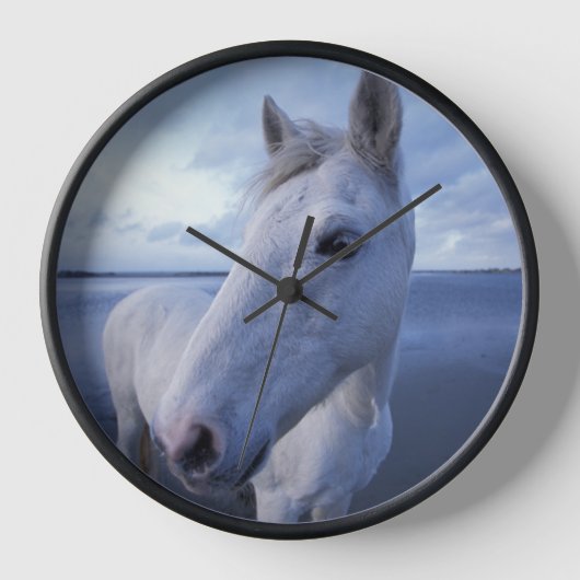 カマルグの馬 壁時計 (正面)