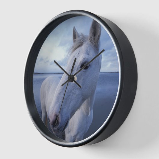 カマルグの馬 壁時計 (傾斜)