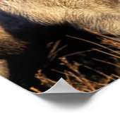 カマルグの馬(Eguus caballus) ポスター (角)