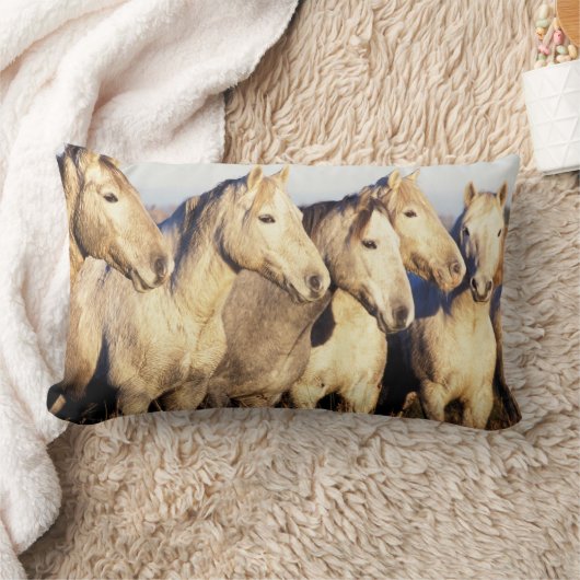 カマルグの馬 (Equus caballus) ランバークッション (ブランケット)