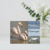 カマルグはがき ポストカード (スタンド正面)