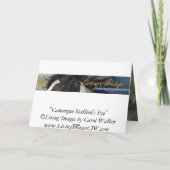 カマルグスタリオンズアイホースのグリーティングカード カード (裏面)