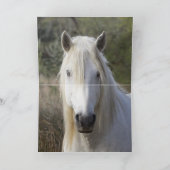 カマルグスタリオンズアイホースのグリーティングカード カード (内部)