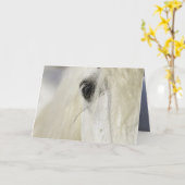 カマルグスタリオンズアイホースのグリーティングカード カード (黄色い花)