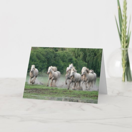 カマルグランニングウマの水 カード (正面)