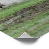 カマルグランニングウマの水 ポスター (角)