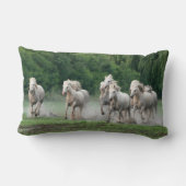 カマルグランニングウマの水 ランバークッション (裏面)