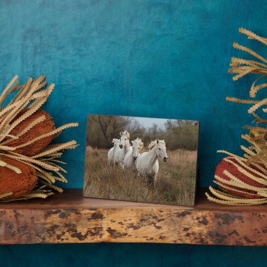 カマルグランニングウマの フォトプラーク (側面)