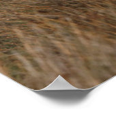 カマルグランニングウマの ポスター (角)