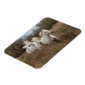 カマルグランニングウマの マグネット (左側)