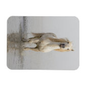 カマルグランニングホースの水 マグネット (横)