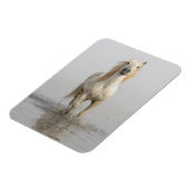 カマルグランニングホースの水 マグネット (左側)