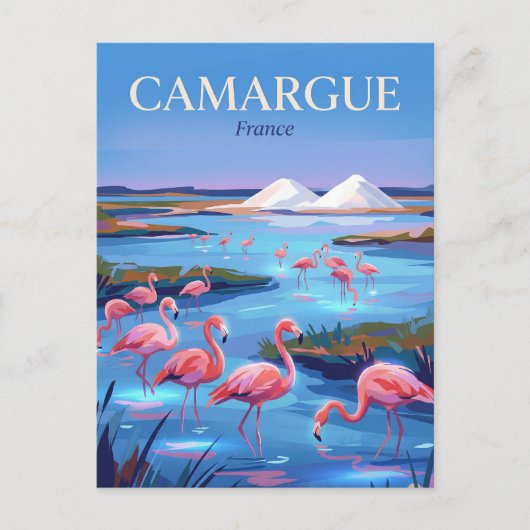 カマルグ地域自然公園 フランス ポストカード (正面)
