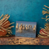 カマルグ地方の白馬のグループ フォトプラーク (側面)