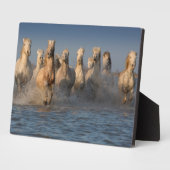 カマルグ地方の白馬のグループ フォトプラーク (側面)