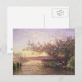 カマルグ・サンセット ポストカード (正面/裏面)