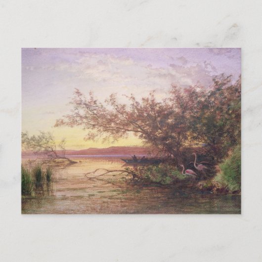 カマルグ・サンセット ポストカード (正面)