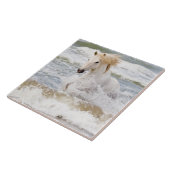 カマルグ・ホース・イン・ザ・サーフ タイル (側面)