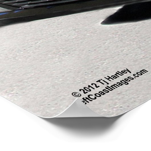 カマロすごいスポーツのポスター ポスター (角)