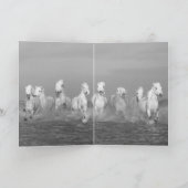 カマーグスプレーホースグリーティングカード カード (内部)