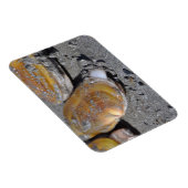 カミソリのクリーム切れ マグネット (右側)