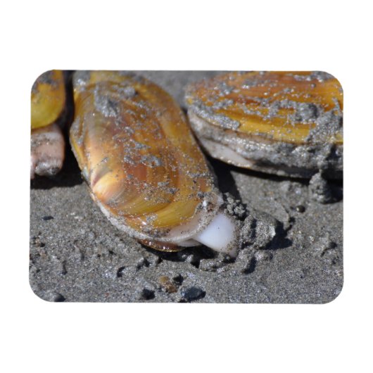 カミソリのクリーム切れ マグネット (横)