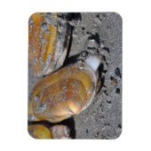 カミソリのクリーム切れ マグネット (縦)