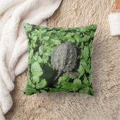 カミツキガメ枕 クッション (ブランケット)