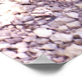 カミツキガメ1 ポスター (角)