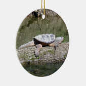 カミツキガメ セラミックオーナメント (右)