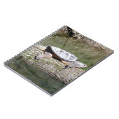 カミツキガメ ノートブック (左側)