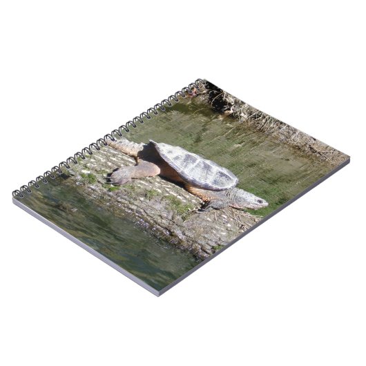 カミツキガメ ノートブック (左側)