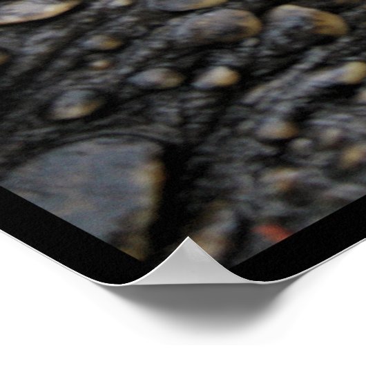 カミツキガメ ポスター (角)