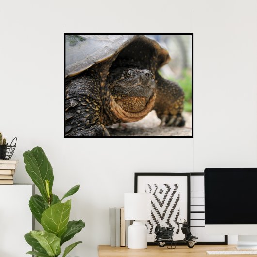カミツキガメ ポスター (ホームオフィス)