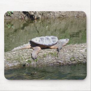 カミツキガメ マウスパッド