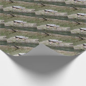 カミツキガメ ラッピングペーパー (角)