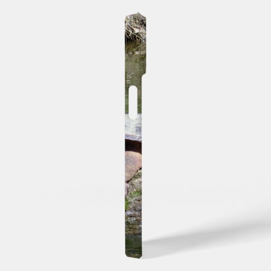 カミツキガメ Case-Mate iPhoneケース (裏面 / 右)