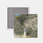 カミノデサンティアゴ マグネット (正面/裏面)